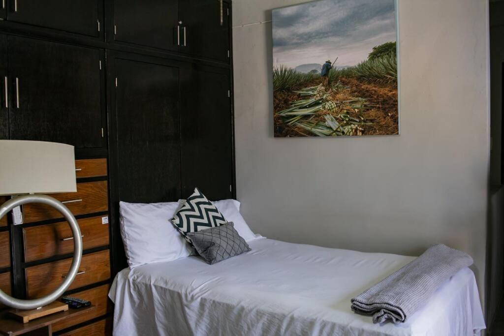Hermoso Departamento Centrico Con Servicios Daire Tequila Dış mekan fotoğraf