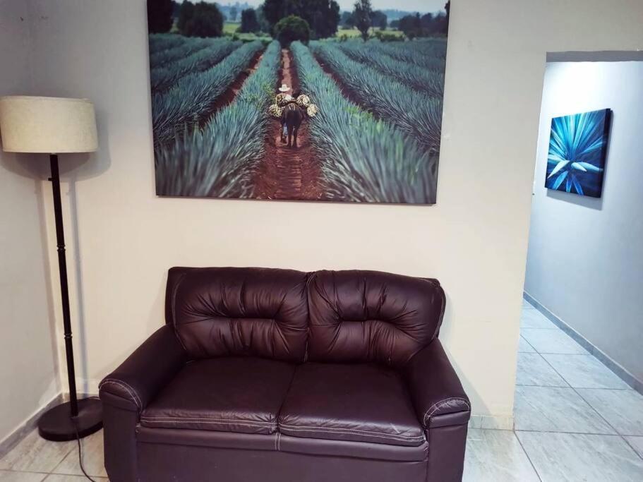 Hermoso Departamento Centrico Con Servicios Daire Tequila Dış mekan fotoğraf