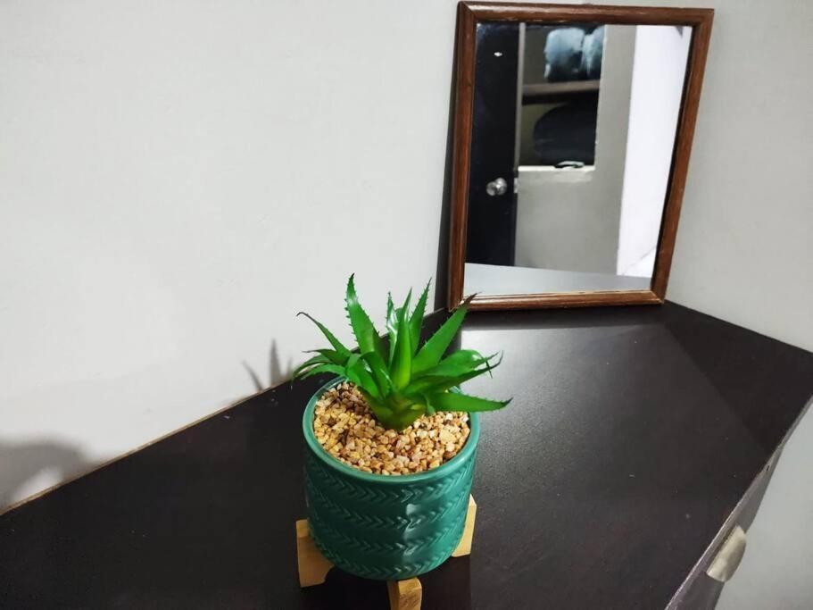 Hermoso Departamento Centrico Con Servicios Daire Tequila Dış mekan fotoğraf